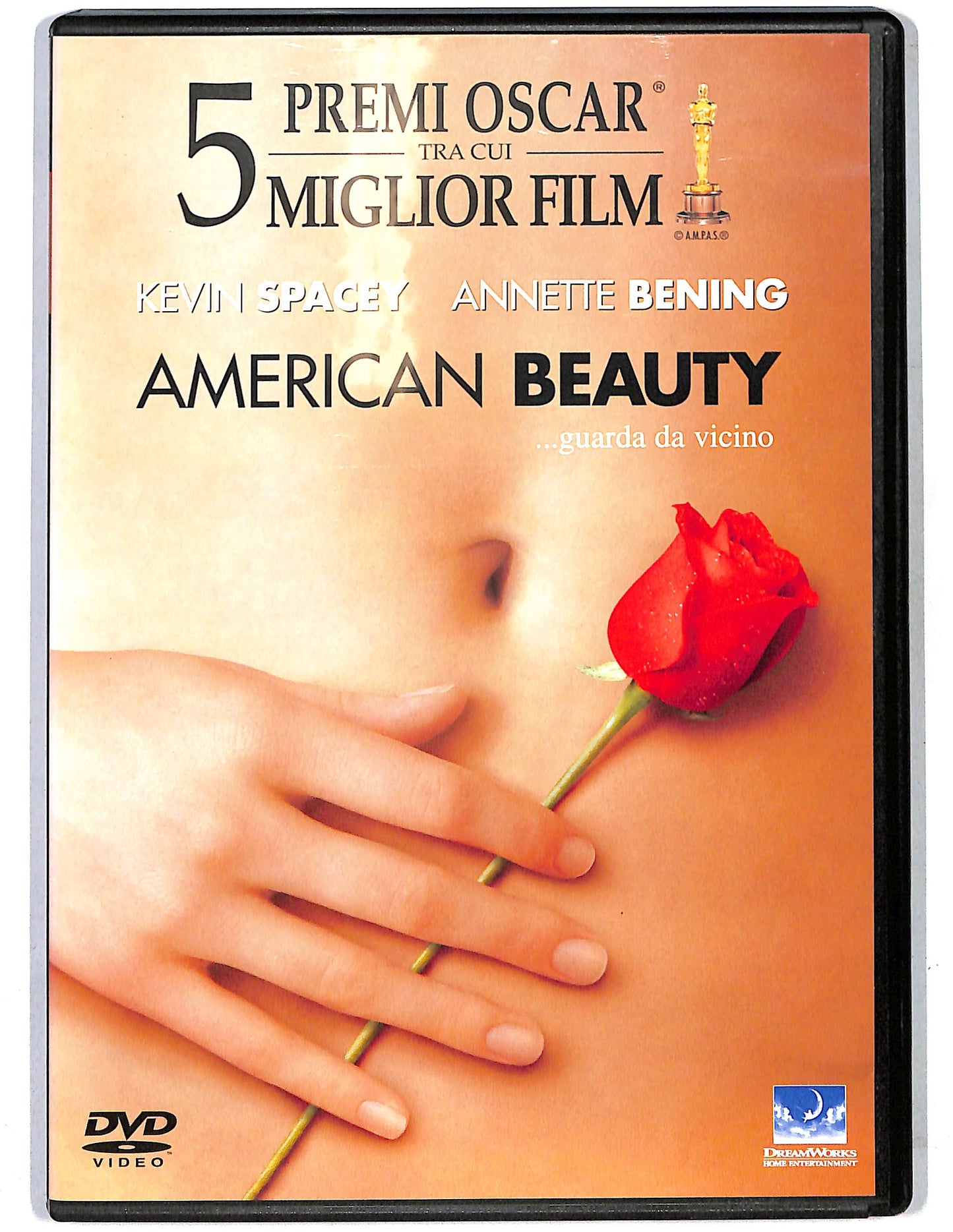 EBOND American beauty DVD D632857