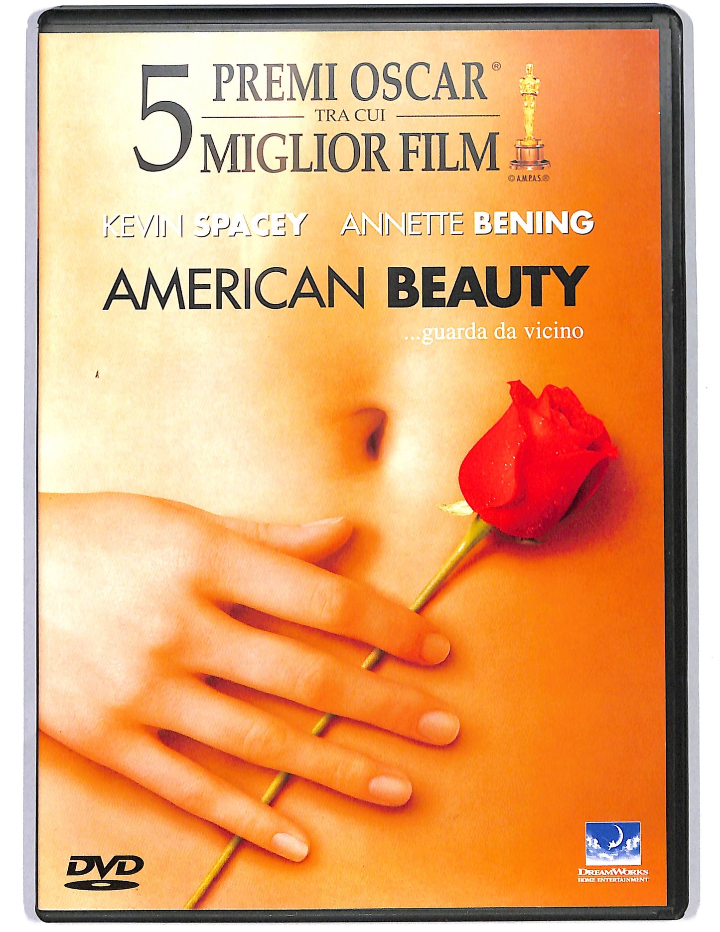 EBOND American beauty  DVD D646129