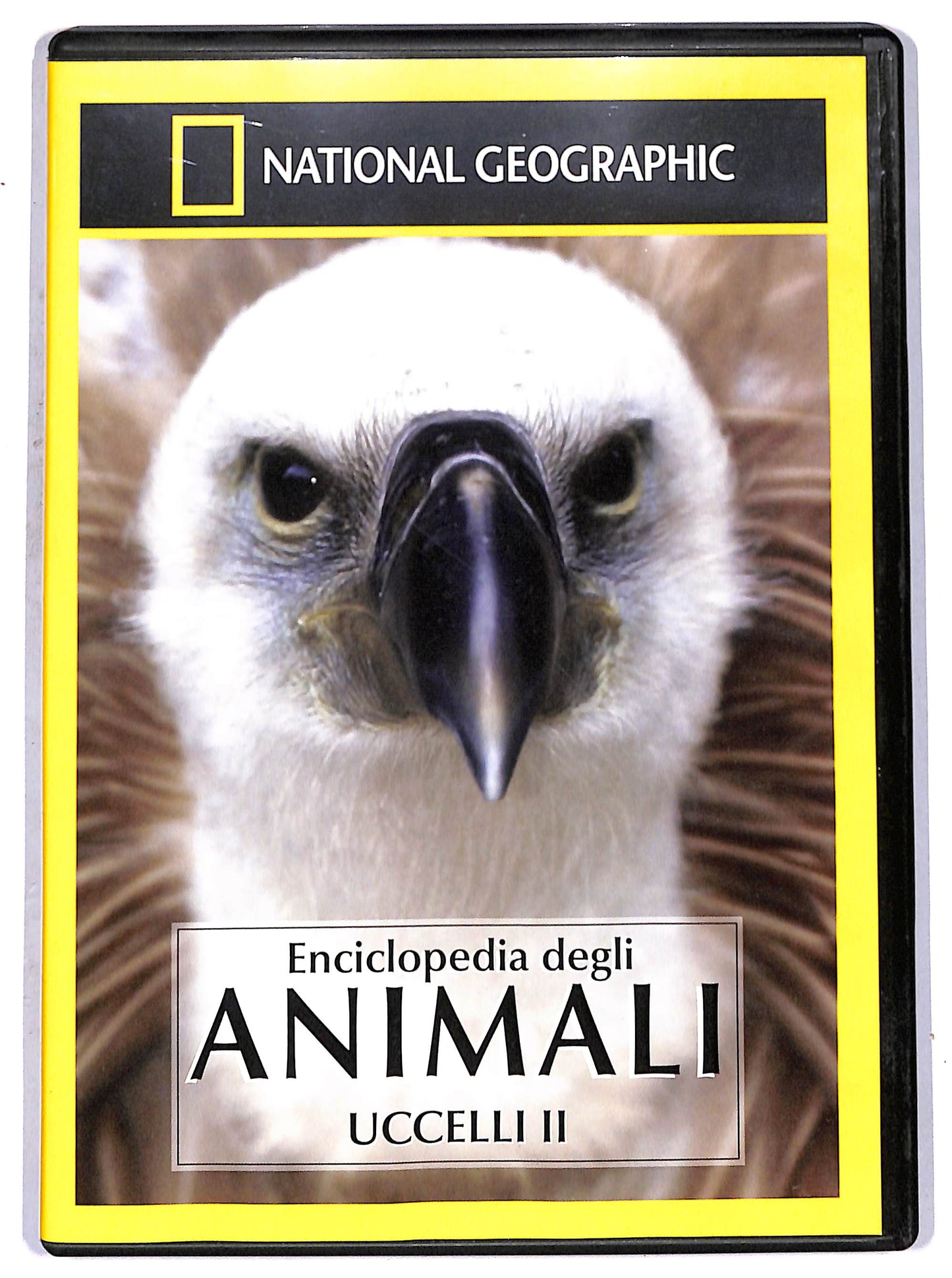 EBOND National Geographic - il falco delle falkland  EDITORIALE DVD D658551