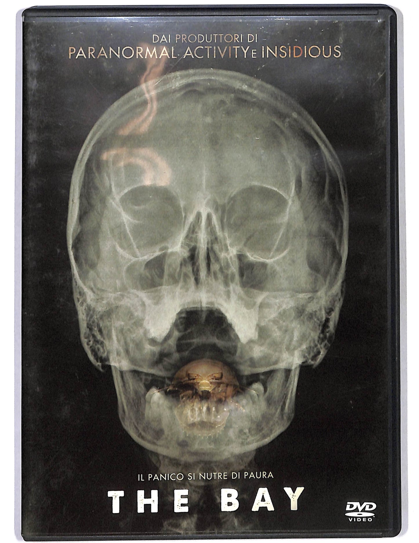 EBOND The Bay DVD D660135