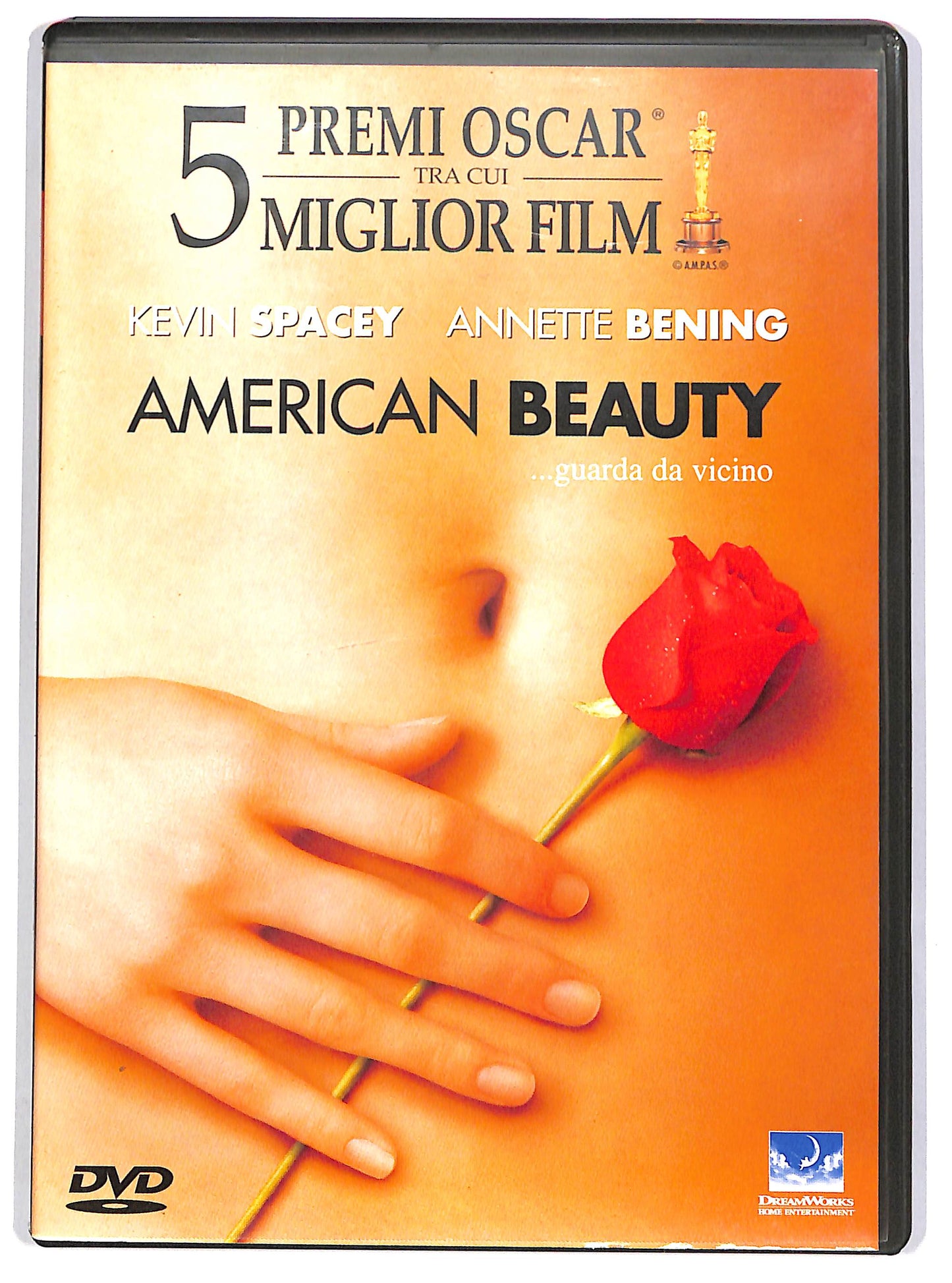 EBOND American Beauty DVD D666162