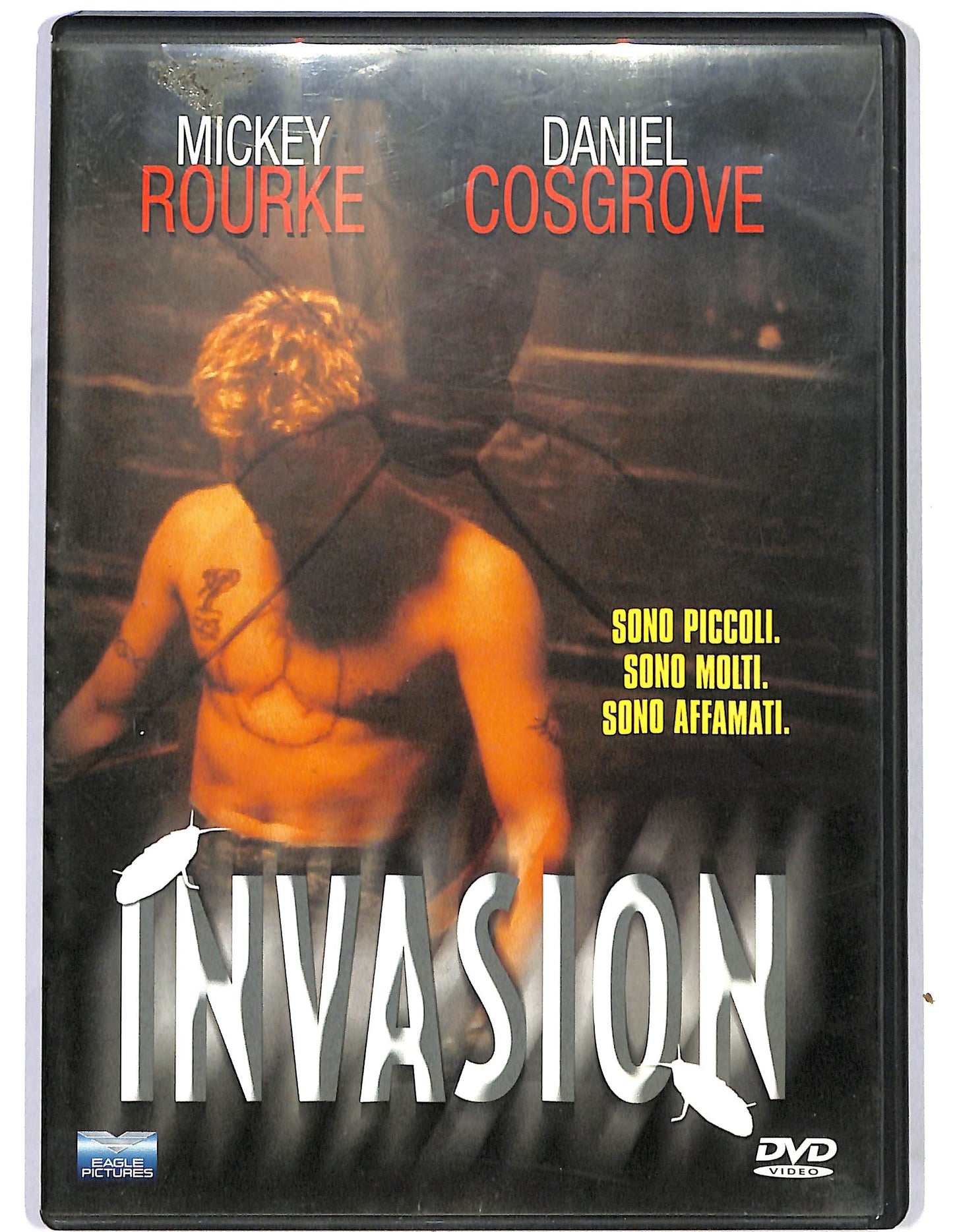 EBOND Invasion  DVD D684224