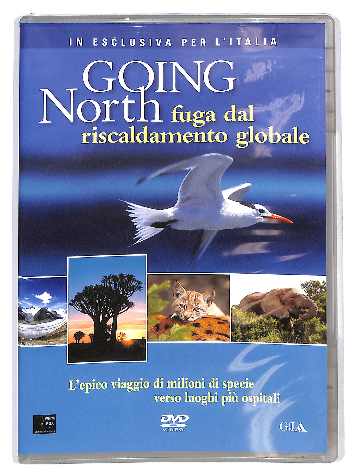EBOND Going North Fuga dal riscaldamento globale EDITORIALE  DVD D705423