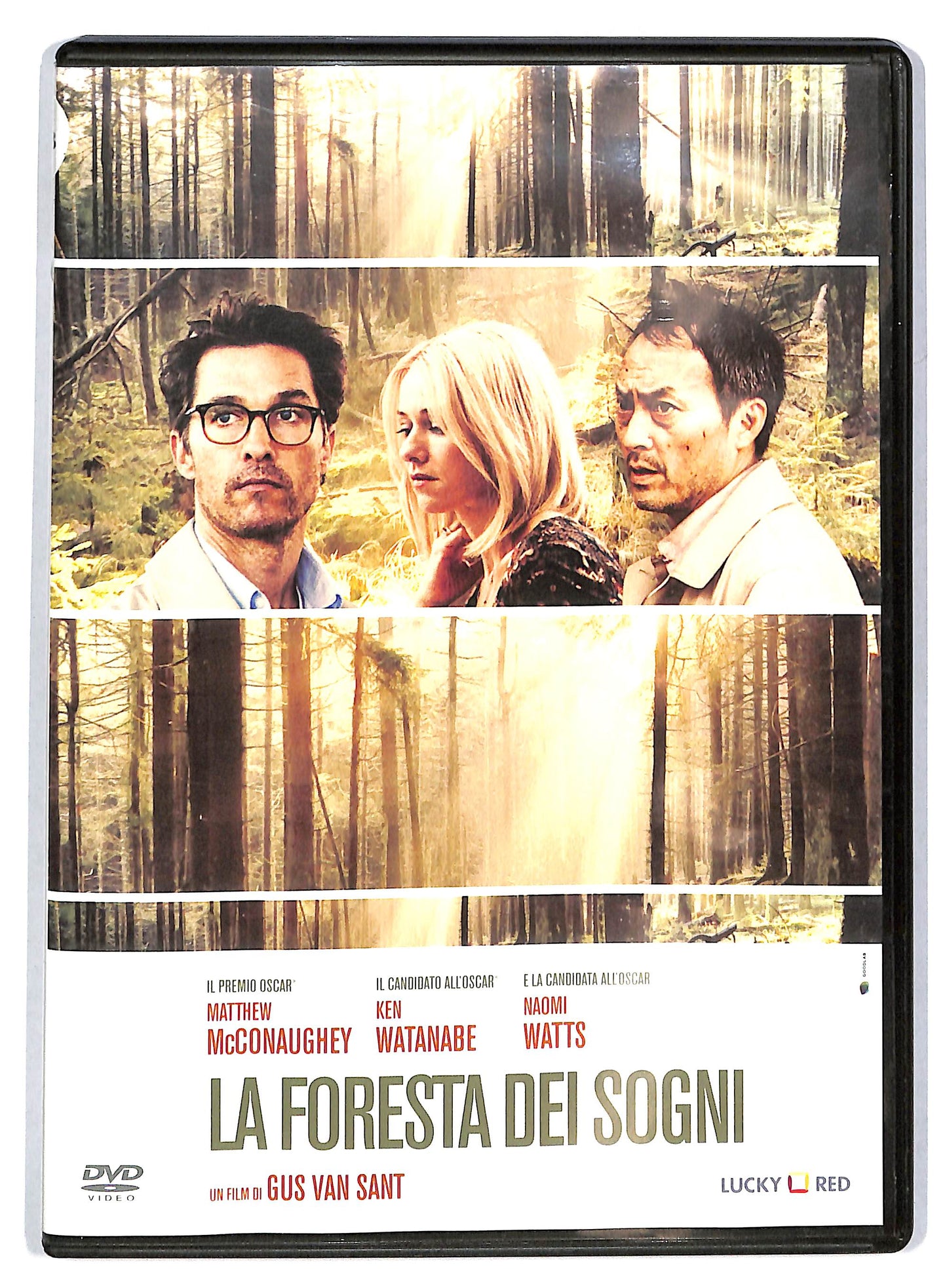EBOND La foresta dei sogni DVD D722363
