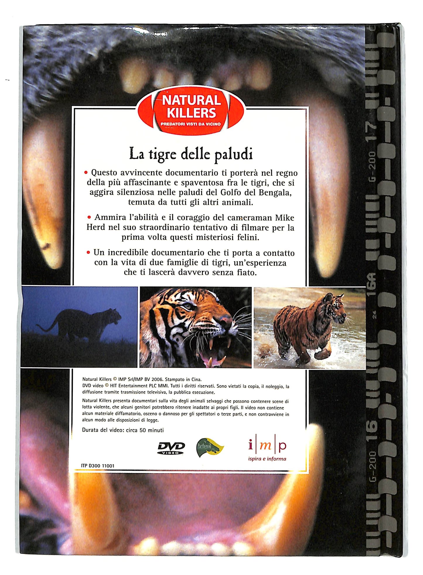EBOND Tigre delle paludi  DVD EDITORIALE D724517
