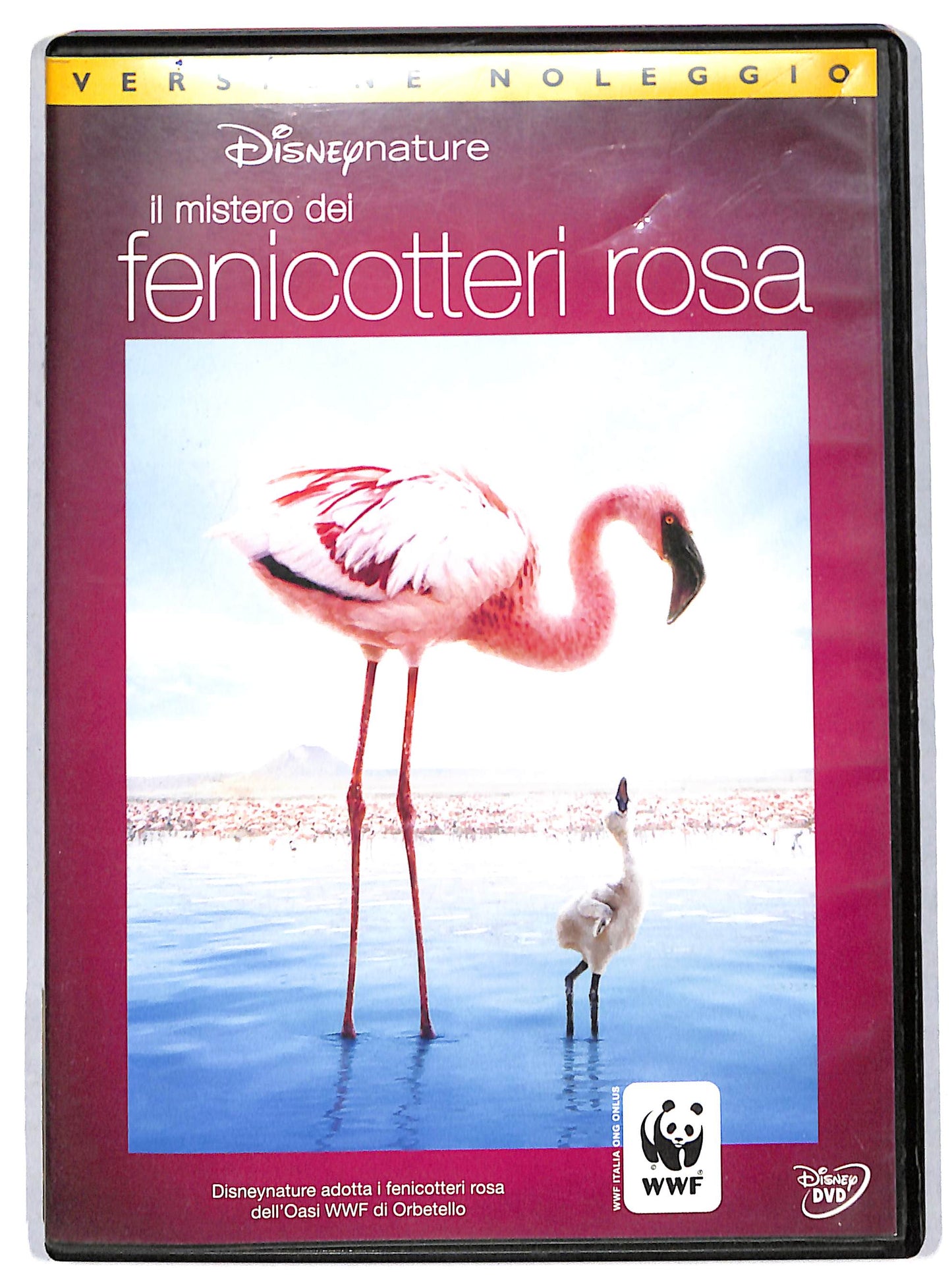EBOND Il mistero dei fenicotteri rosa NOLEGGIO DVD D727315