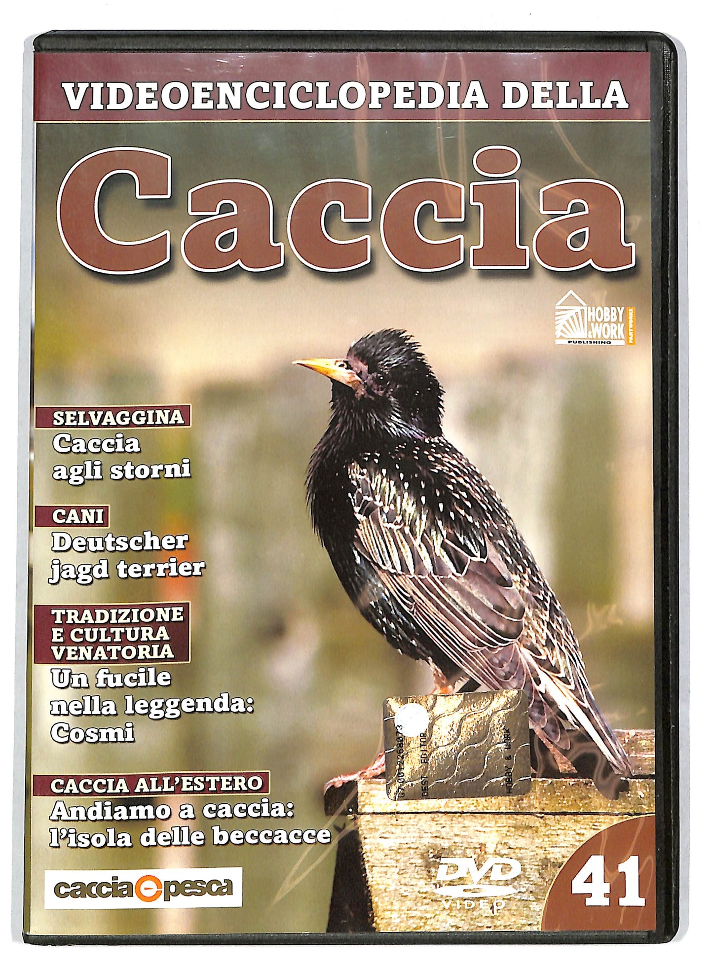 EBOND Videoenciclopedia della caccia volume 41 EDITORIALE DVD D727639