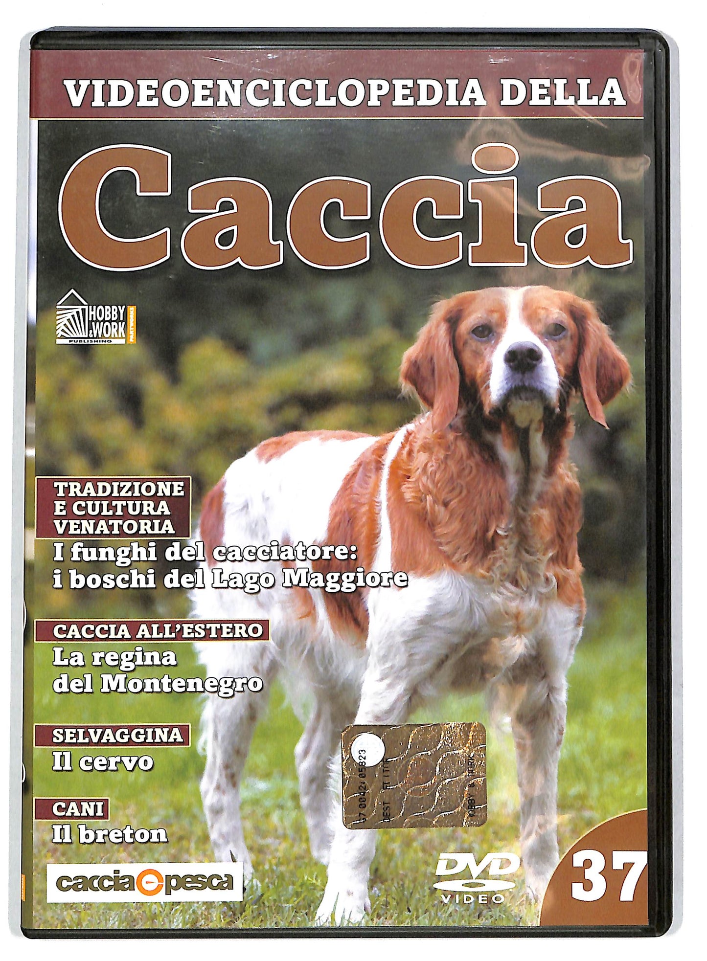 EBOND Videoenciclopedia della caccia volume 37 EDITORIALE DVD D727641
