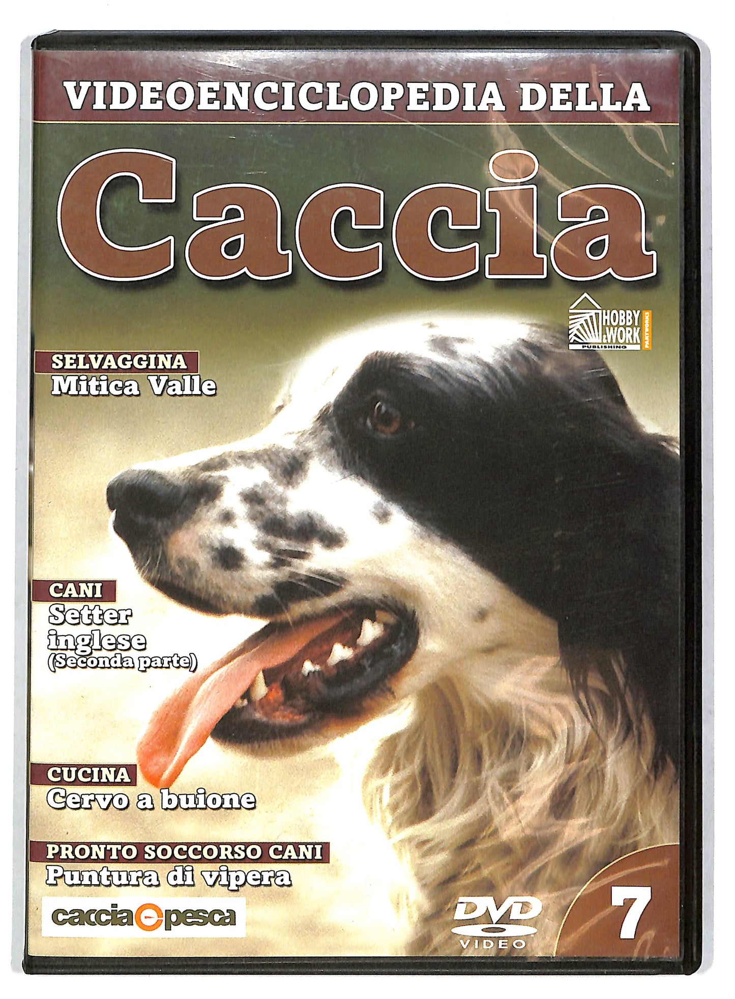 EBOND Videoenciclopedia della caccia volume 7 EDITORIALE DVD D727649