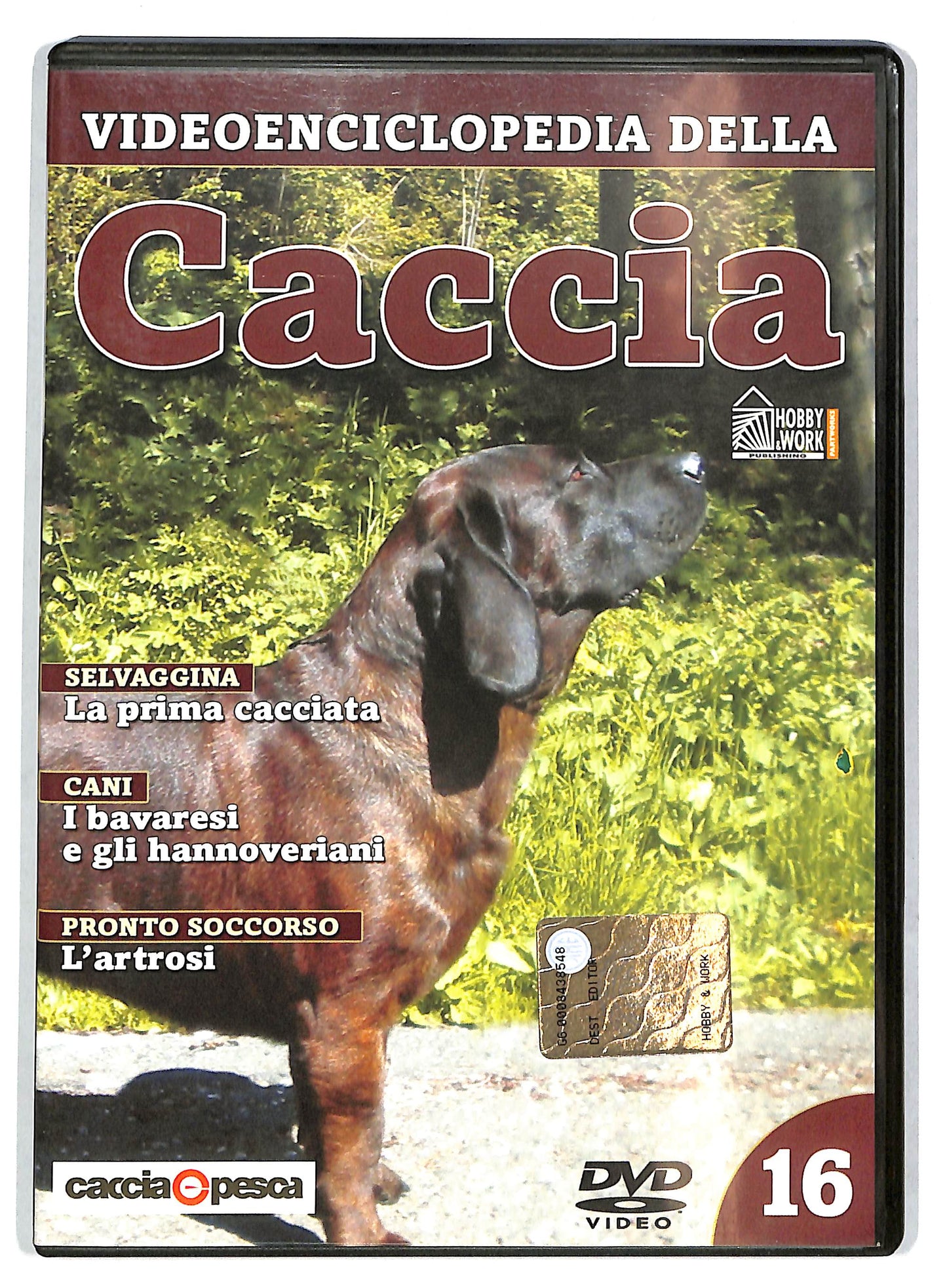 EBOND Videoenciclopedia della caccia volume 16 EDITORIALE DVD D727708
