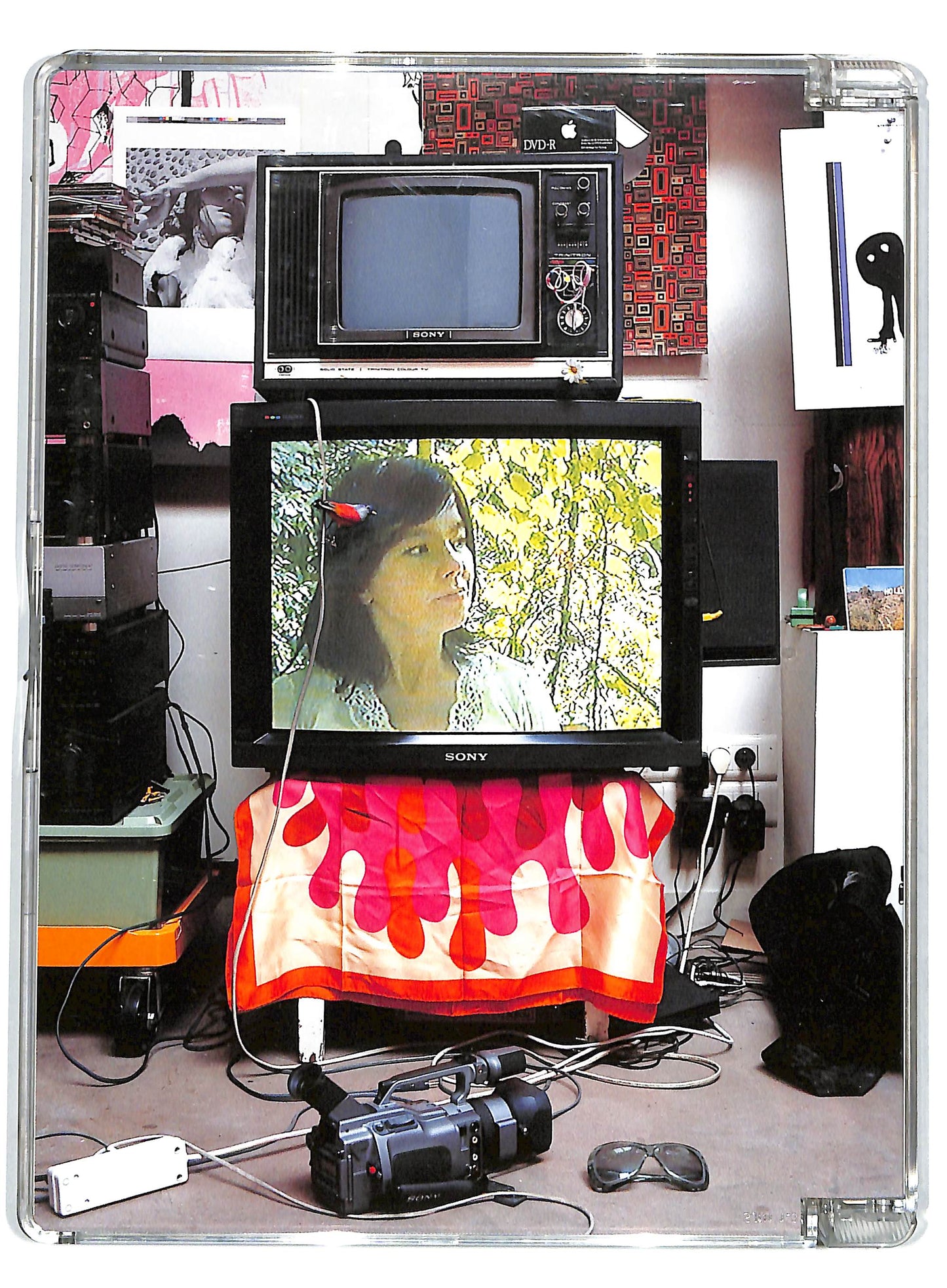 EBOND Bjork minuscule SJB DVD D729823