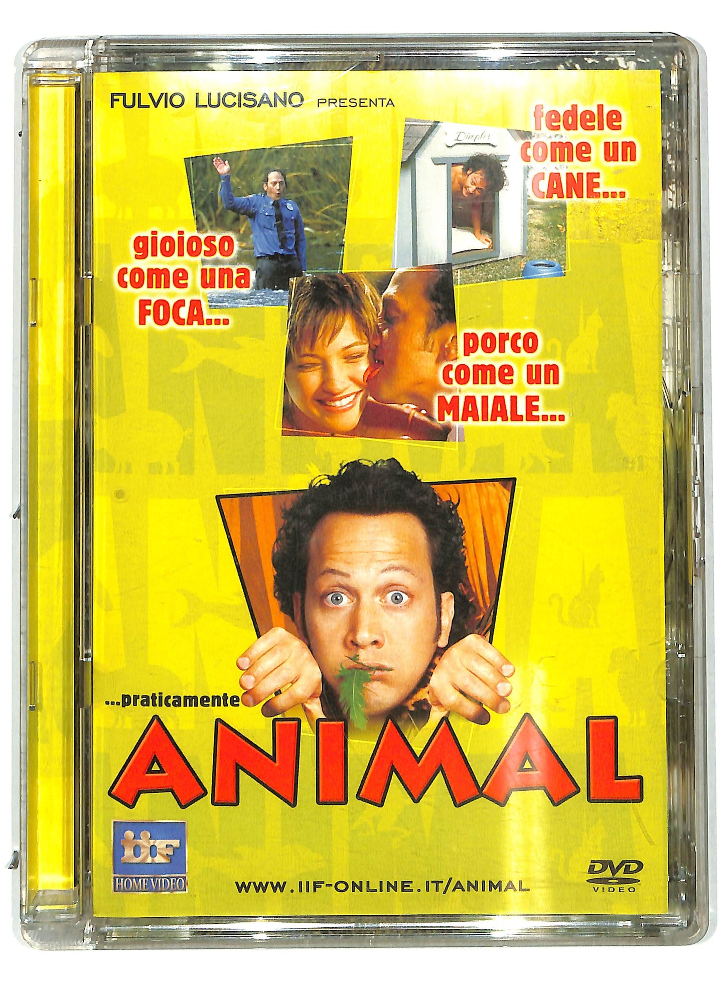EBOND Animal DVD Sjb SJB D731803