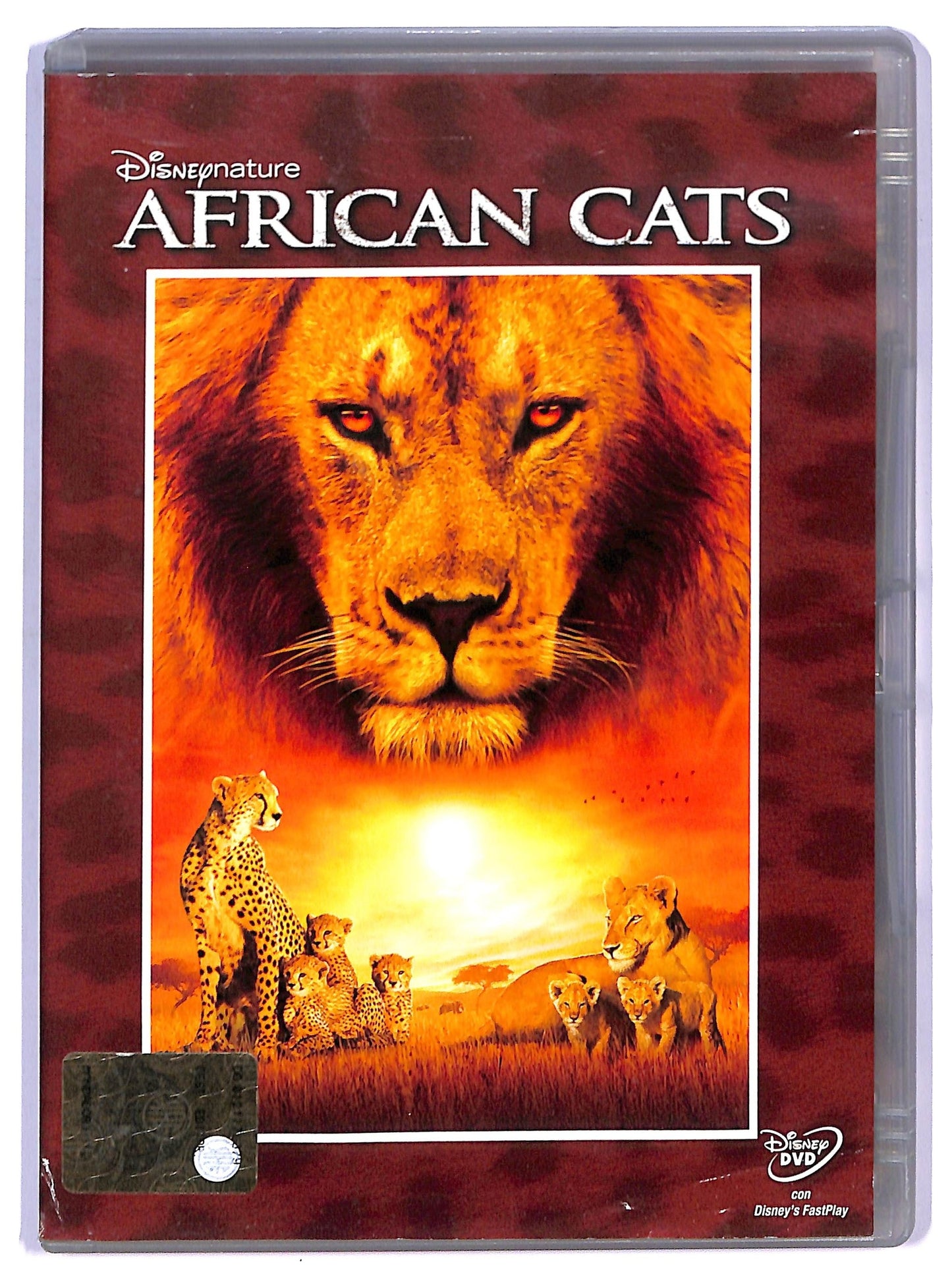 EBOND African cats DVD EDITORIALE D745844