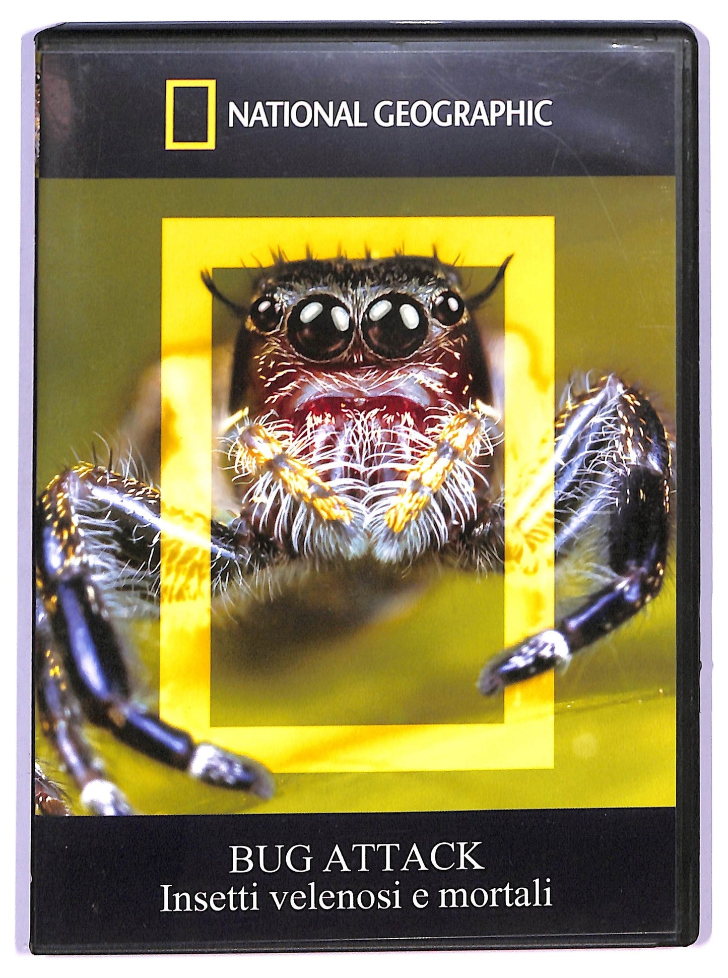 EBOND Bug Attack DVD D746040