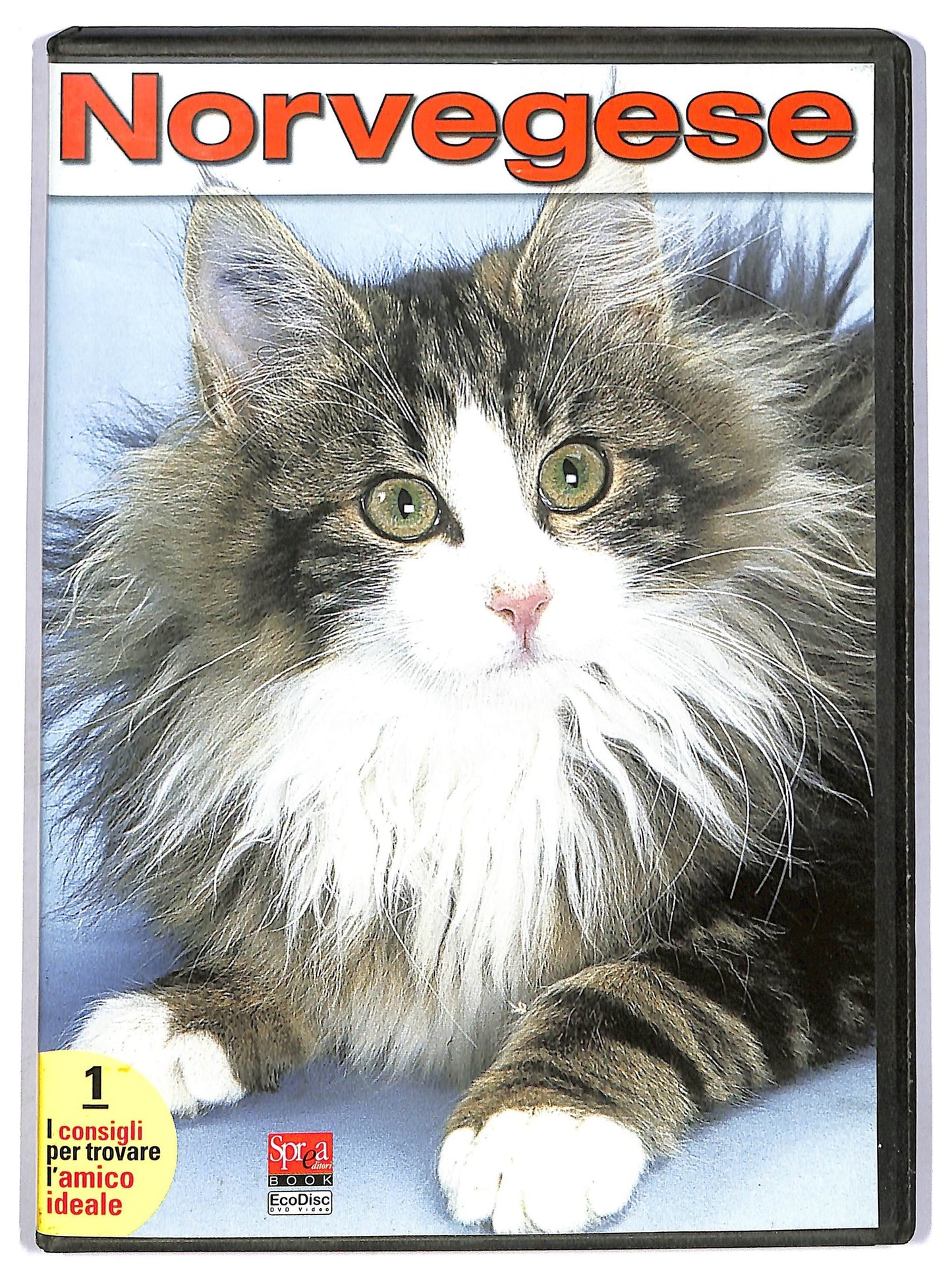 EBOND Norvegese 1 DVD EDITORIALE D752930