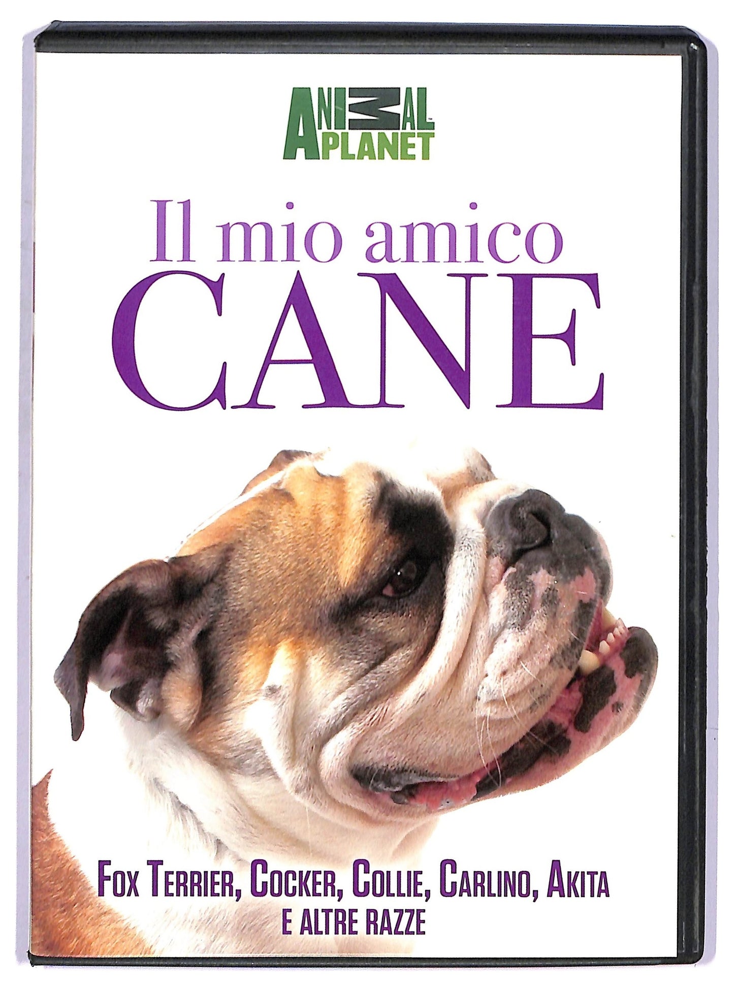 EBOND Il mio amico cane - fox terrier cocker collieDVD D759819