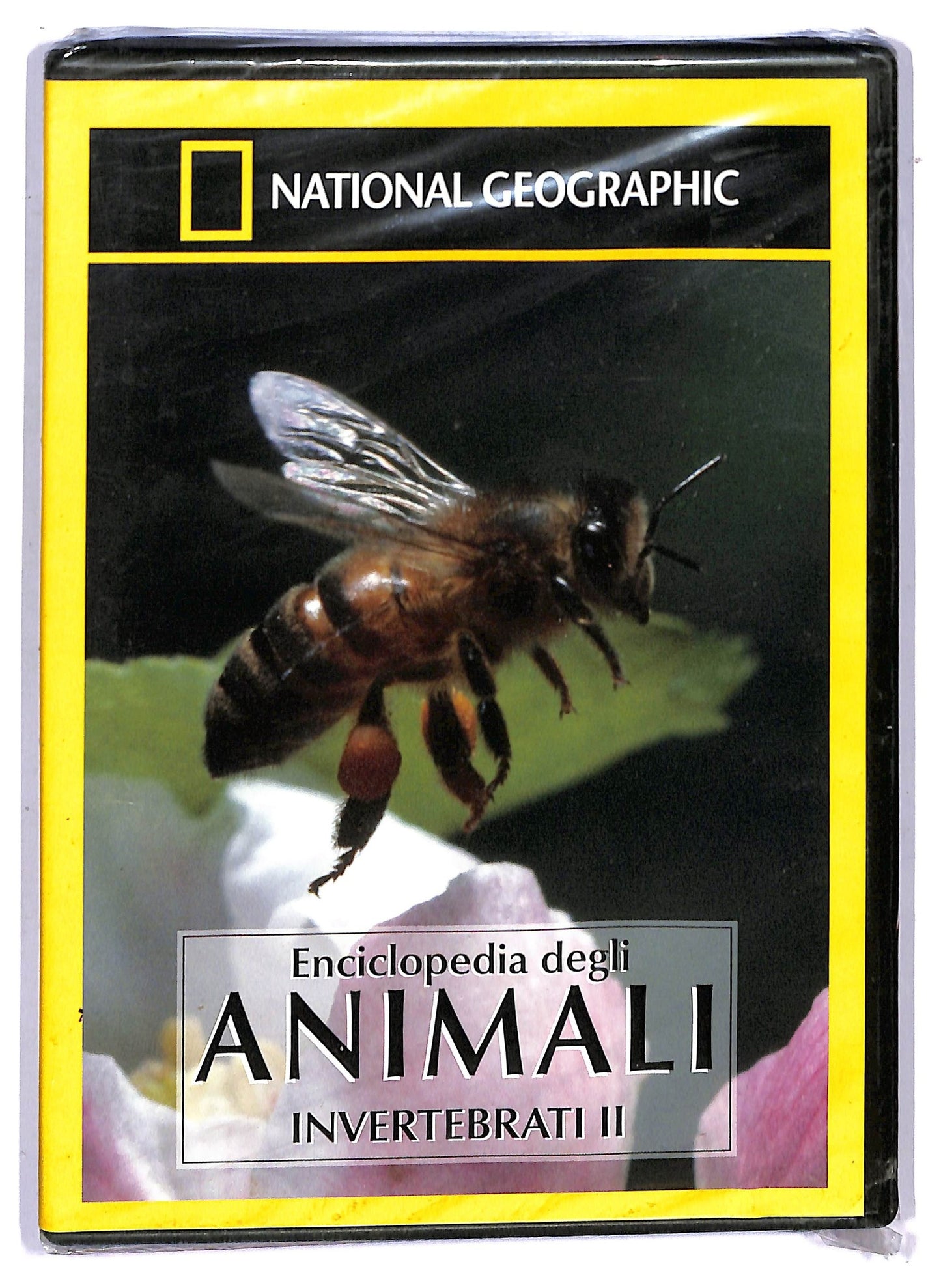 EBOND National Geogr Calabroni Giganti Piccoli Mostri All'attacco 20 DVD D760405