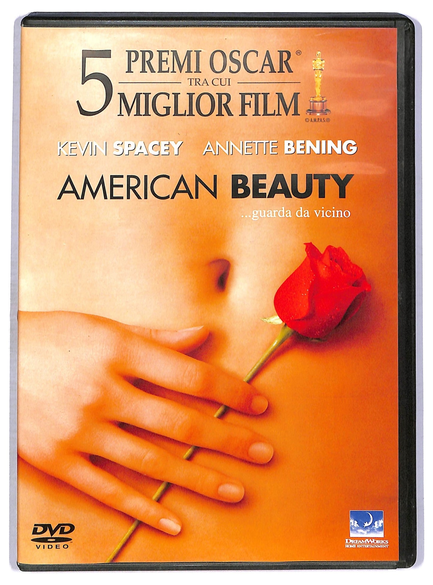 EBOND American Beauty DVD D763314