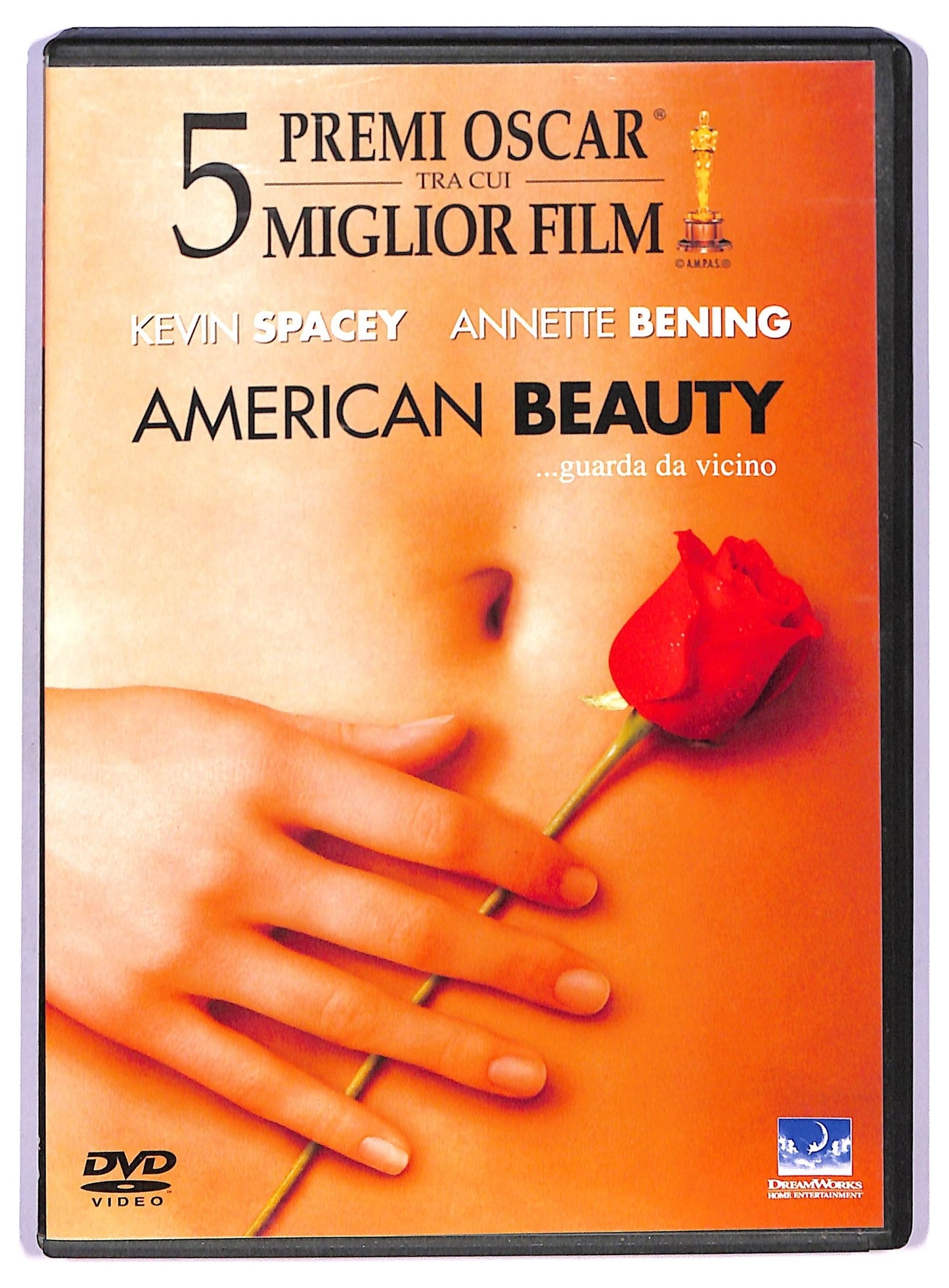 EBOND American Beauty DVD D764332