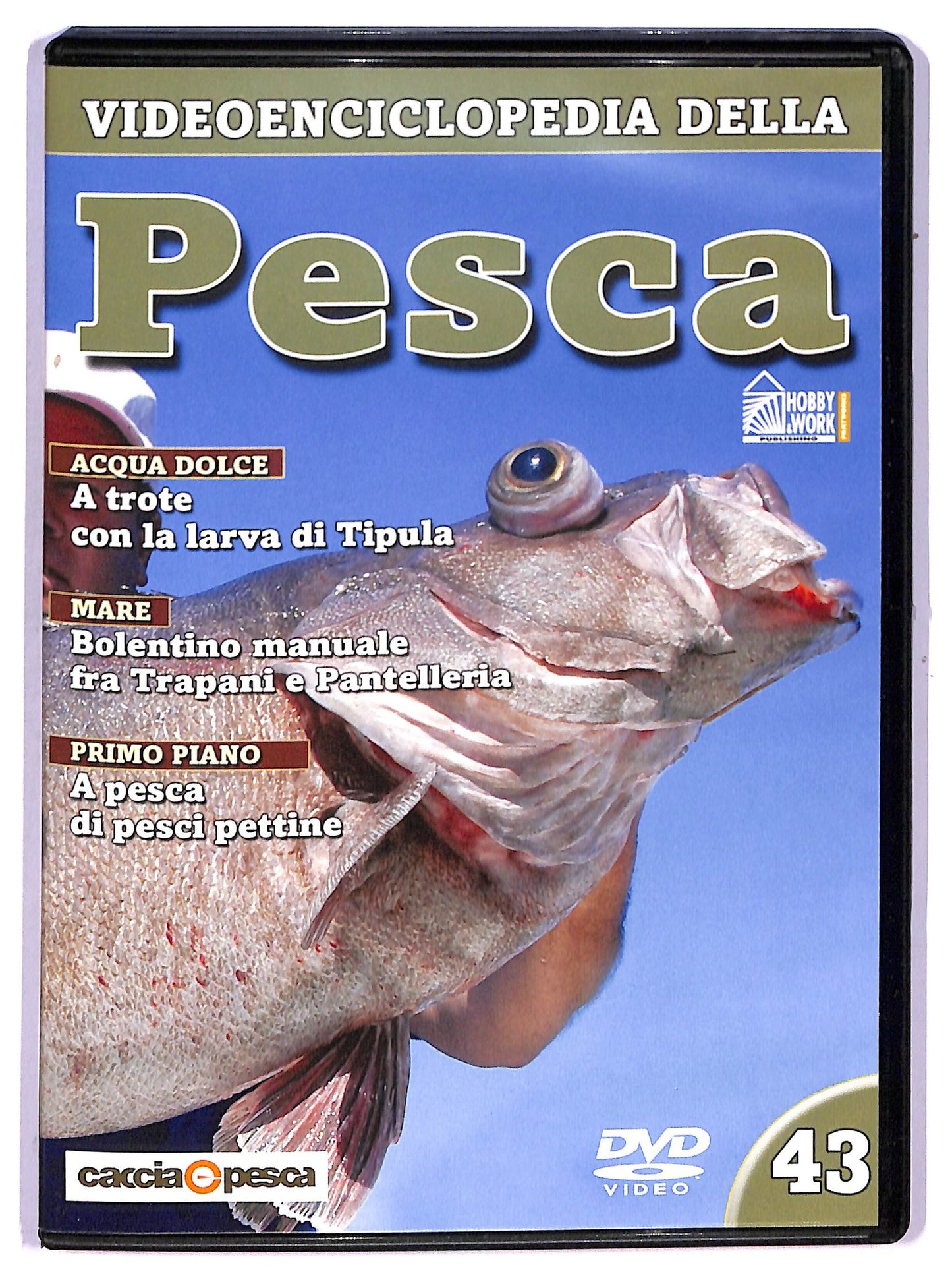 EBOND Videoenciclopedia della pesca volume 43 EDITORIALE DVD D764405