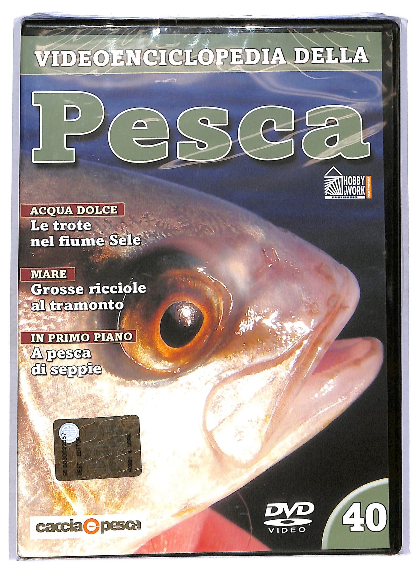 EBOND Videoenciclopedia della pesca vol 40 EDITORIALE DVD D764529