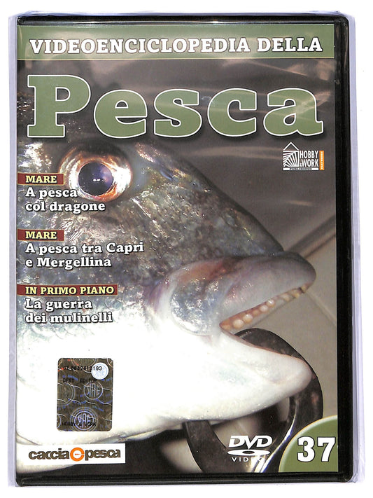 EBOND Videoenciclopedia della pesca vol 37 EDITORIALE DVD D764532