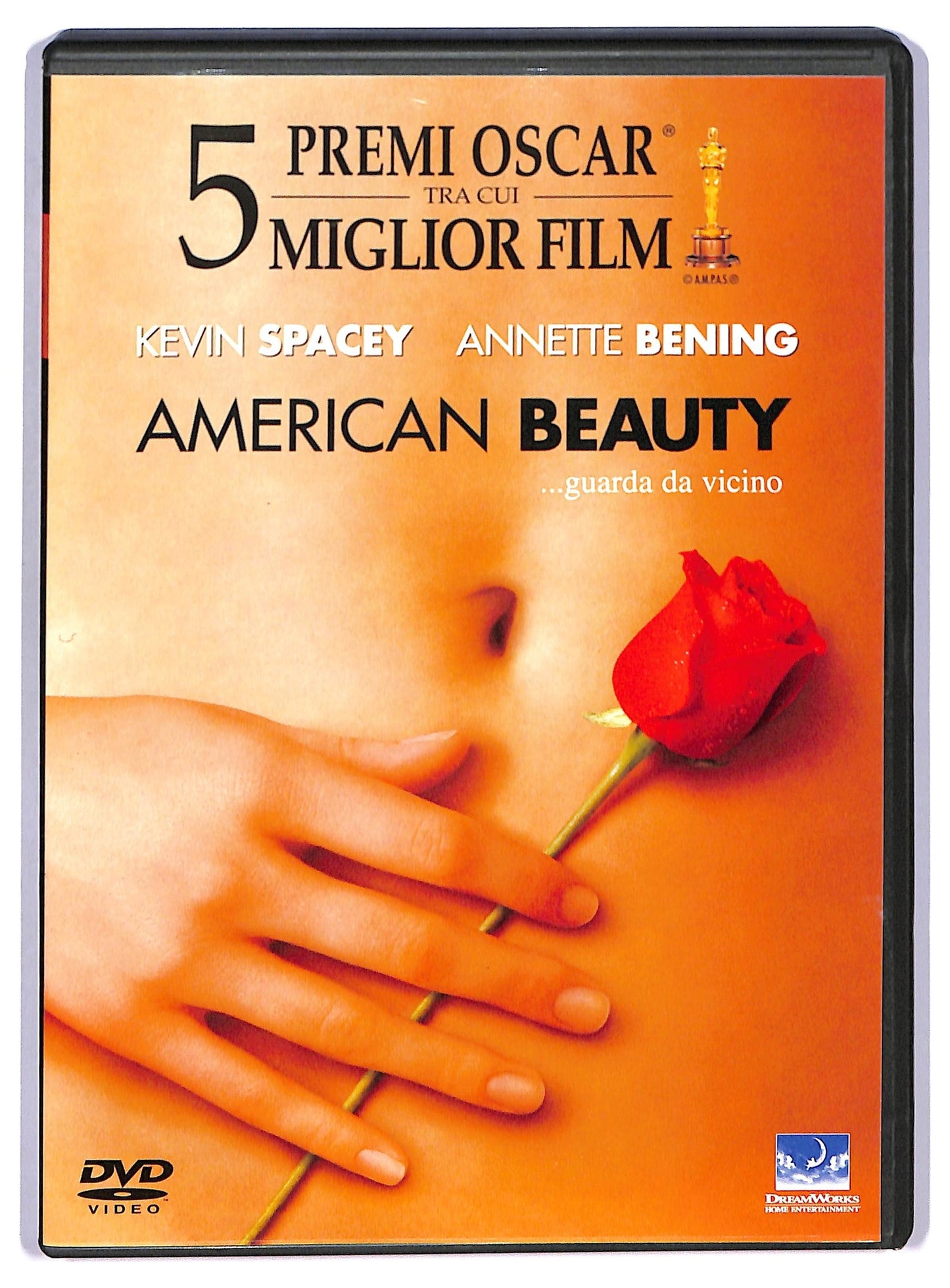 EBOND American Beauty DVD D765840