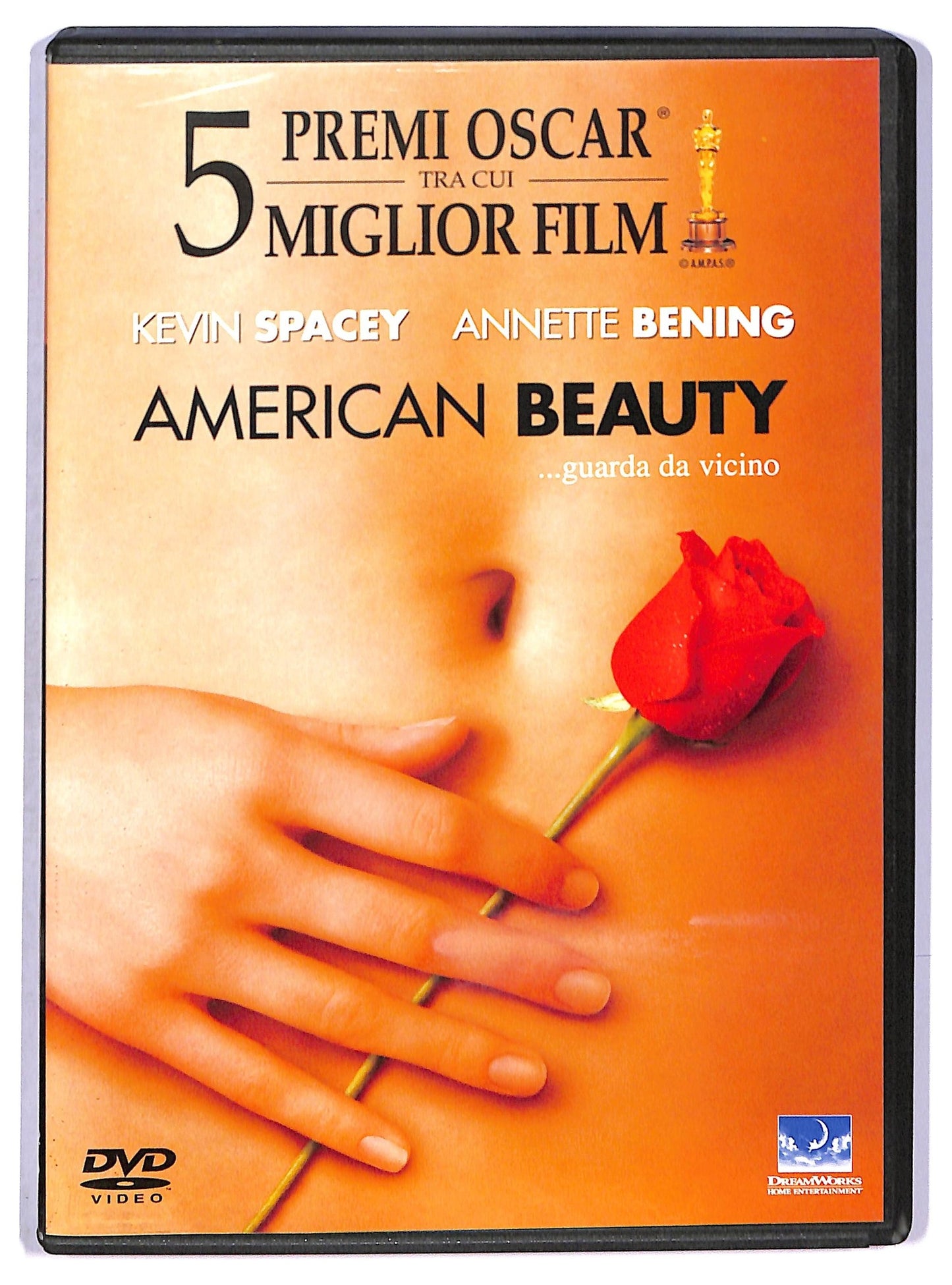 EBOND American Beauty DVD D770052