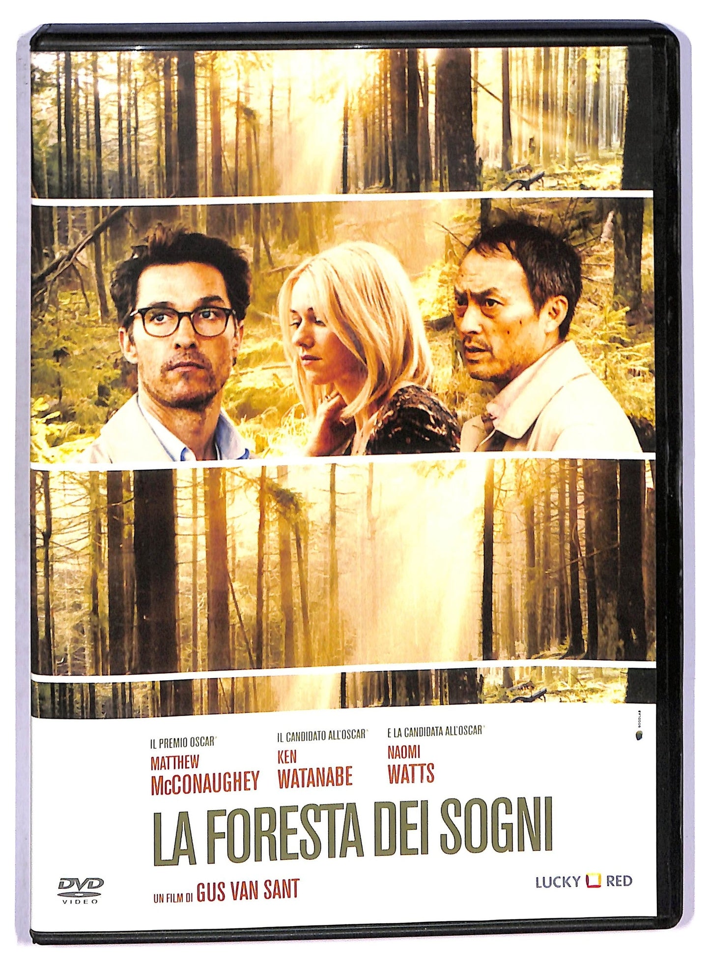 EBOND La foresta dei sogni DVD D771752