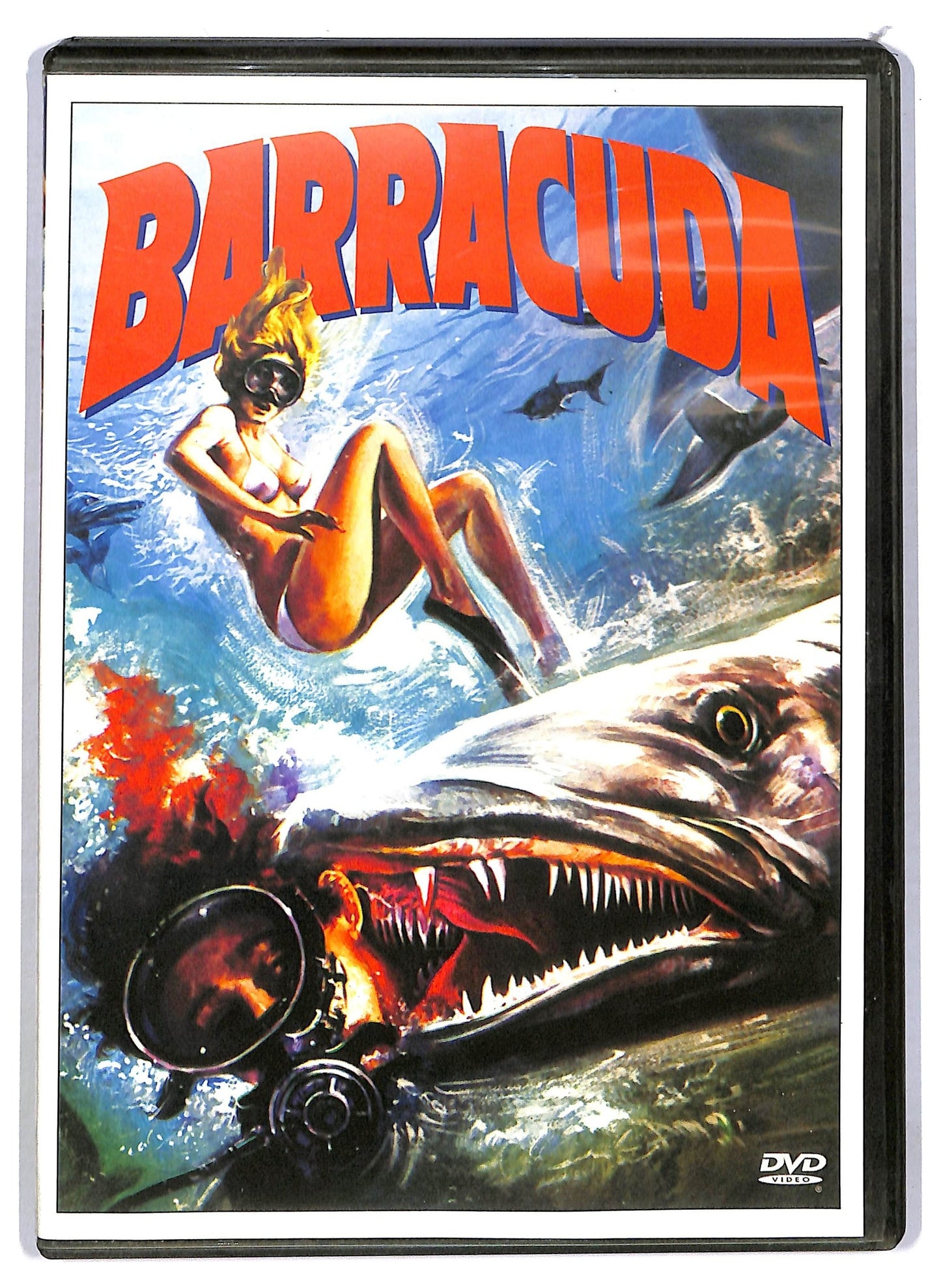 EBOND Barracuda  EDITORIALE DVD D783363