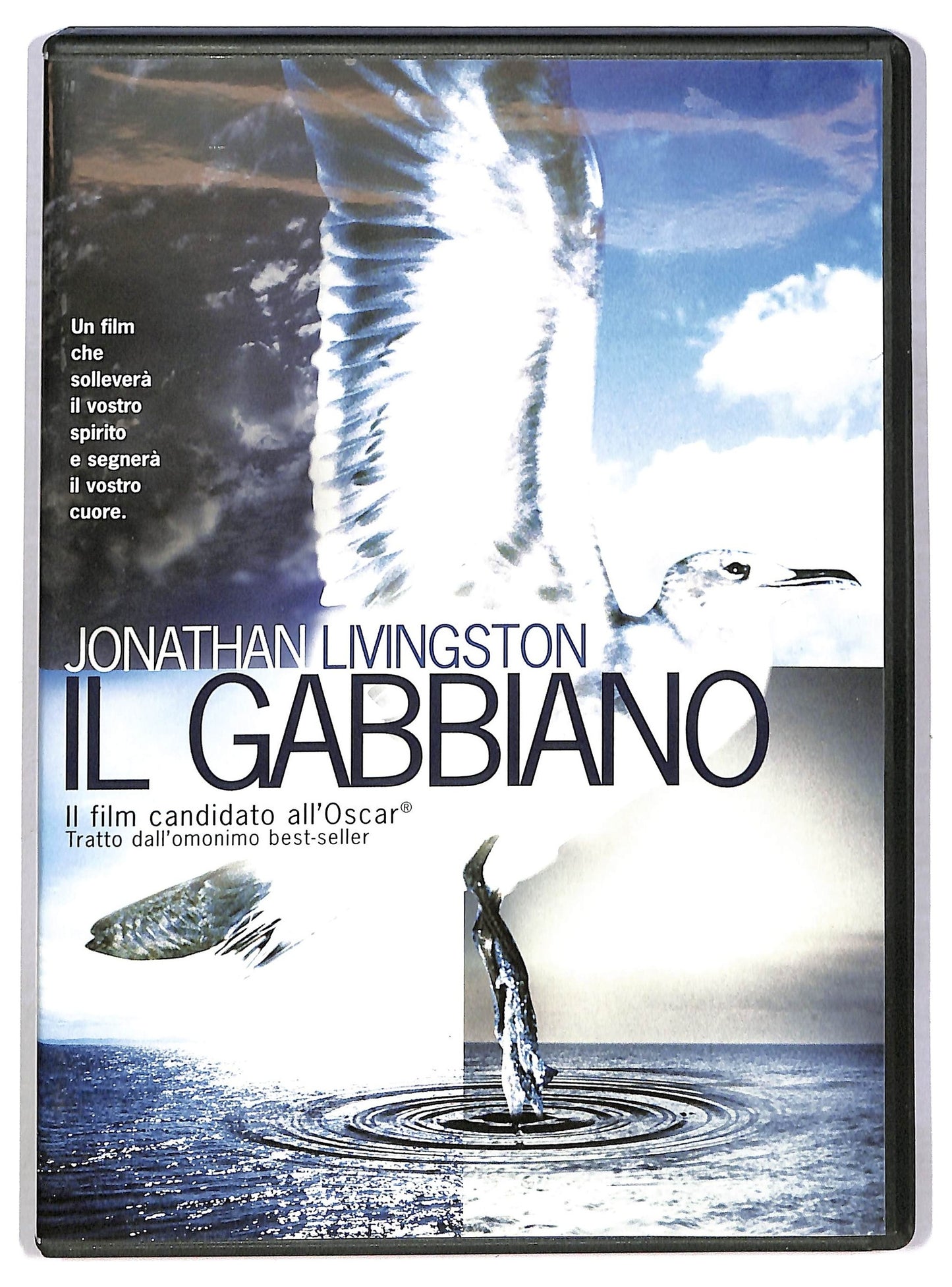 EBOND Il Gabbiano DVD D786515