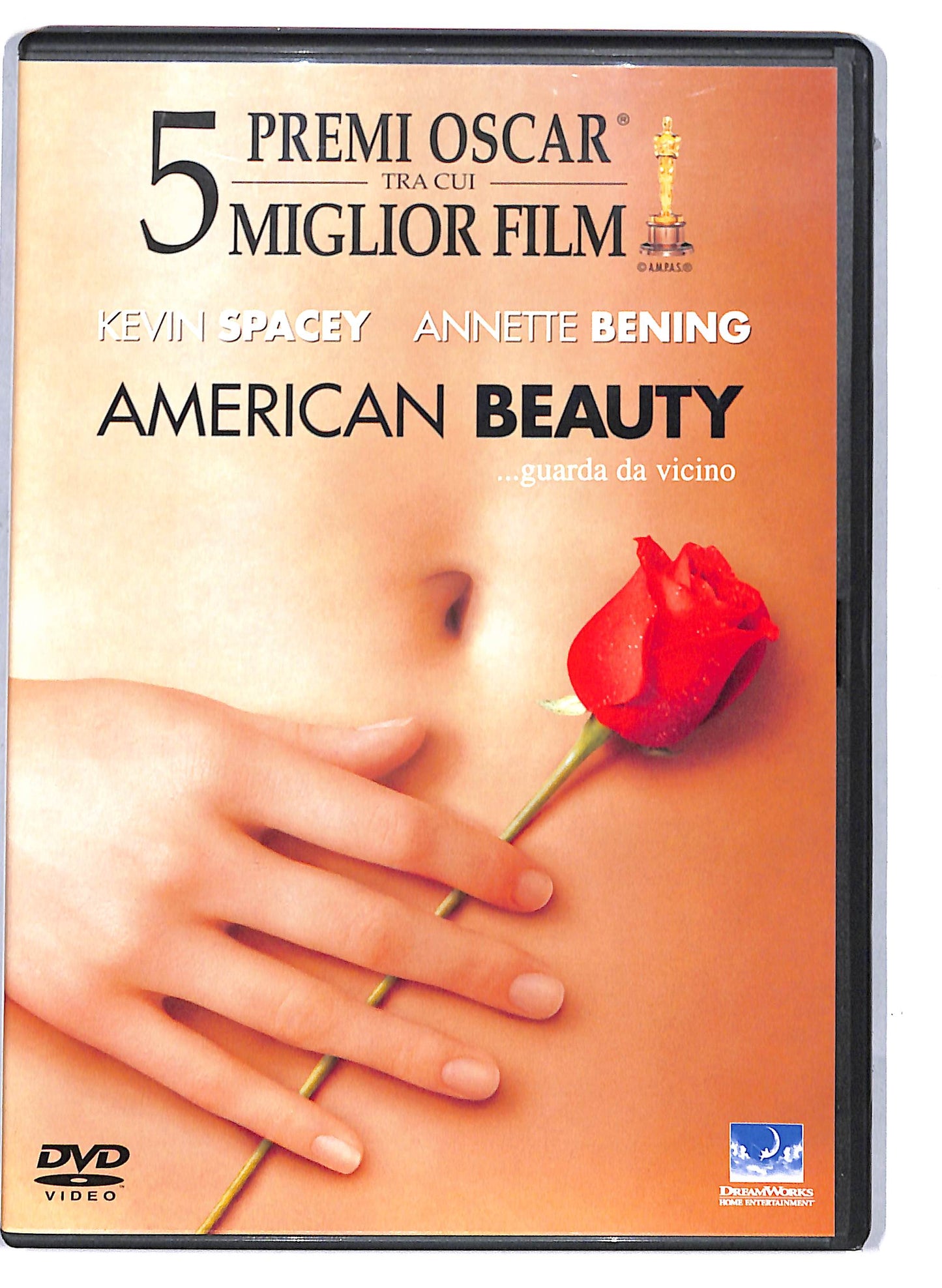 EBOND American Beauty DVD D807135