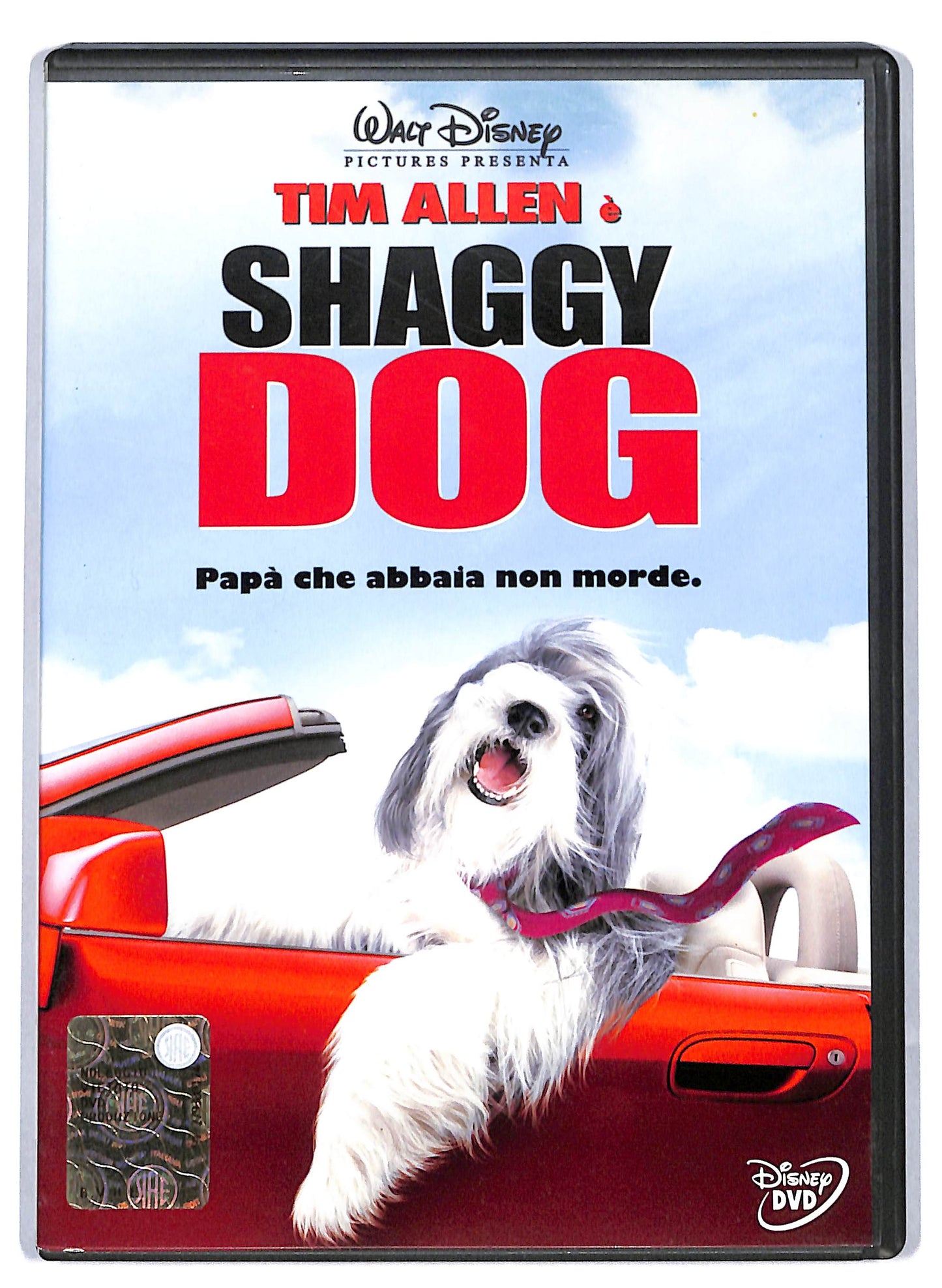 EBOND Shaggy Dog NOLEGGIO DVD D809746