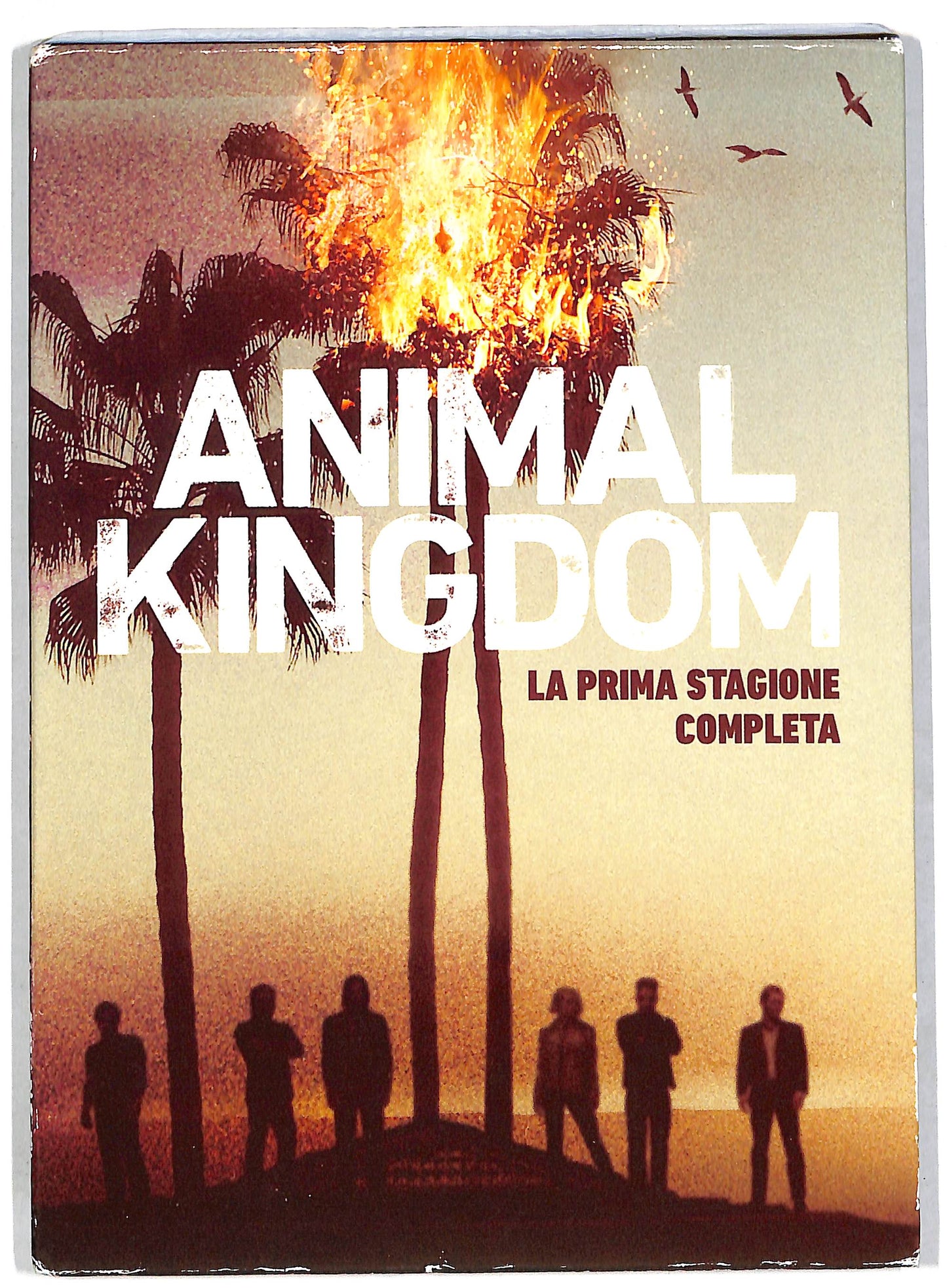 EBOND Animal Kingdom Stg.1 (Box 4 DVD)  DVD D815327