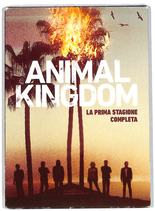 EBOND Animal Kingdom Stg.1 (Box 4 DVD)  DVD D815327