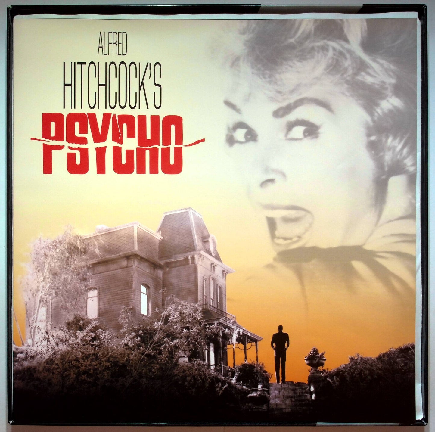 EBOND Psycho - Alfred Hitchcock's - Signature Collection - Laser Disc Ntsc