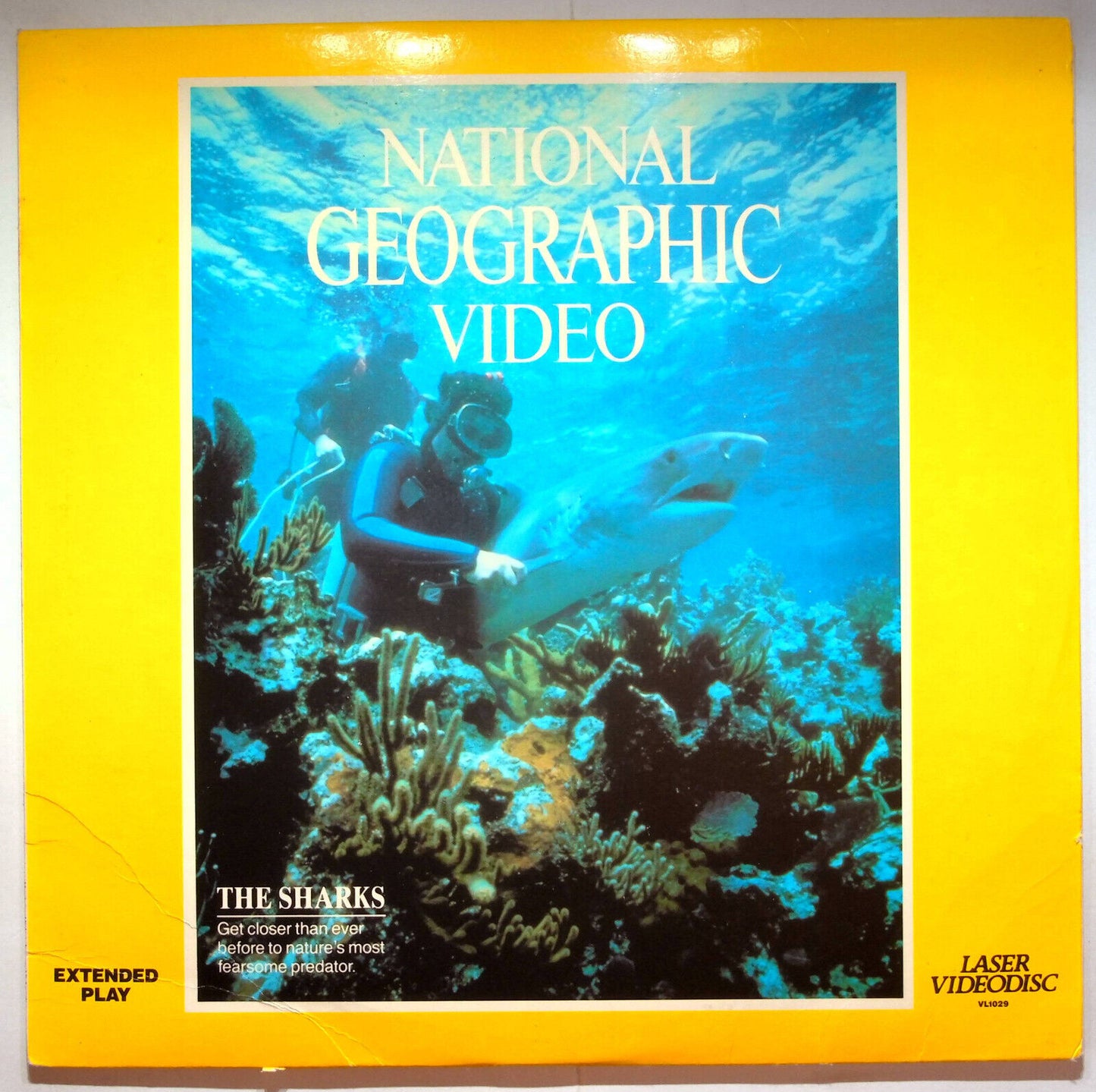 EBOND National Gegraphic Video - The Sharks - Laser Disc Ntsc